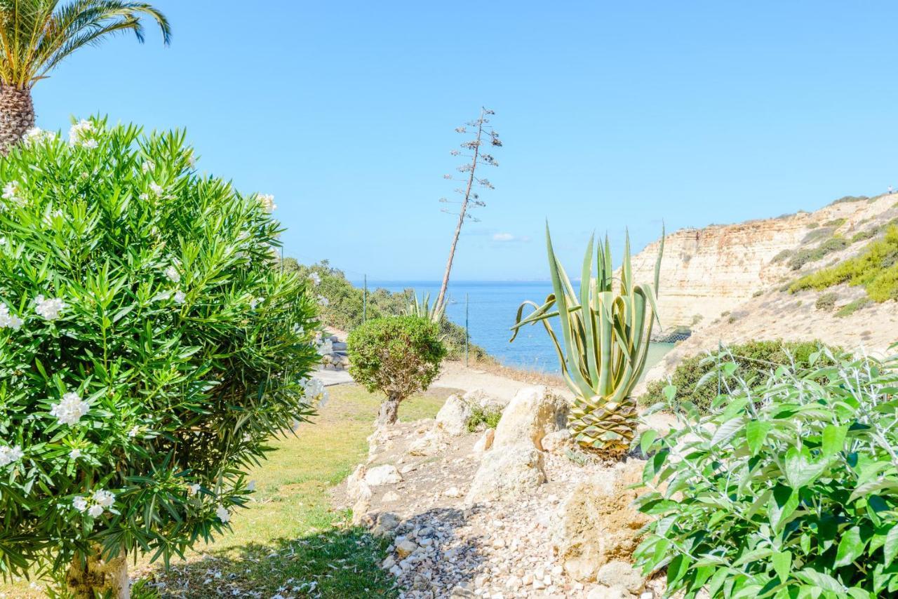 The Little Paradise With Sea Views *